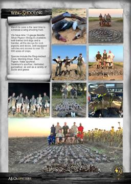 Brochure page 8