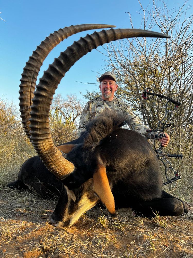 Sable taken with a bow