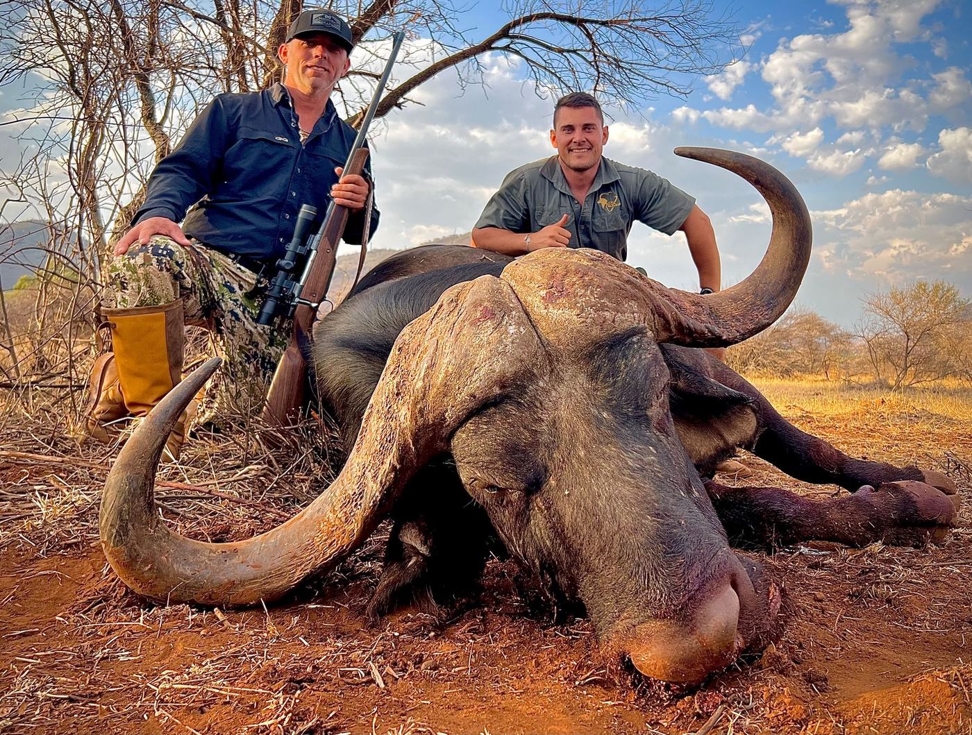 Cape buffalo trophy