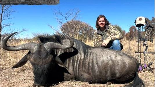 Black wildebeest taken with a bow