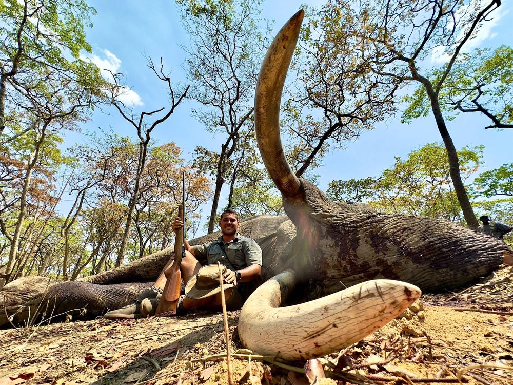 Elephant trophy