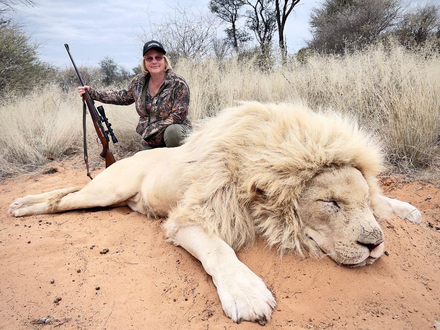 White lion