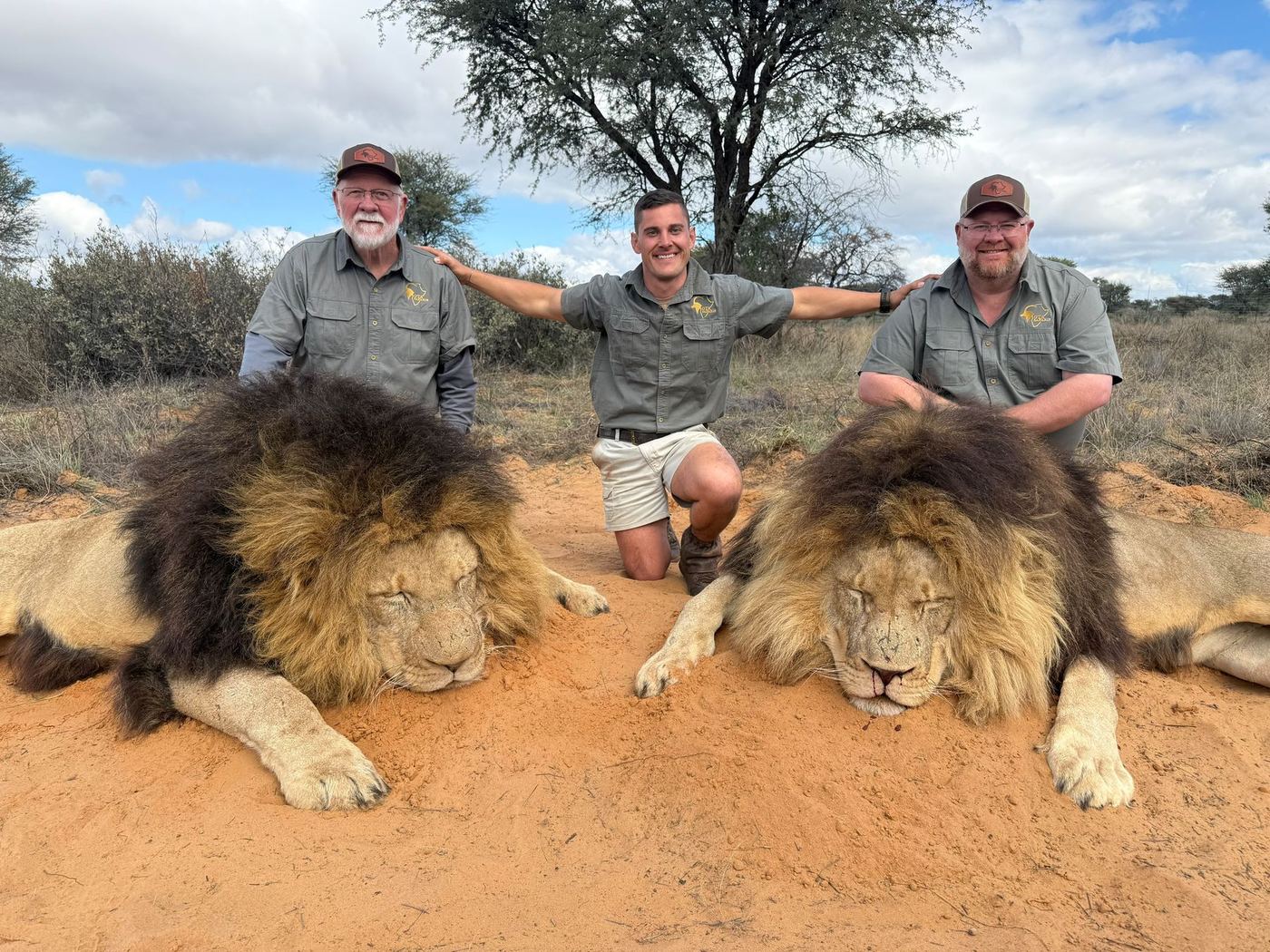 Two lions taken on one hunt