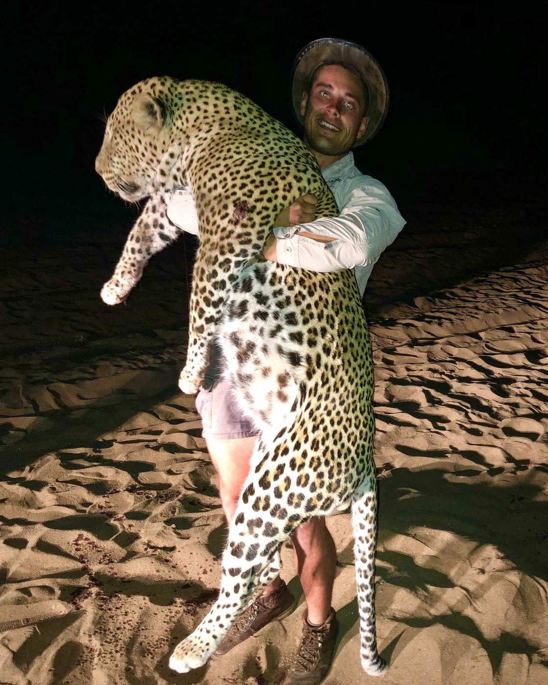 Leopard