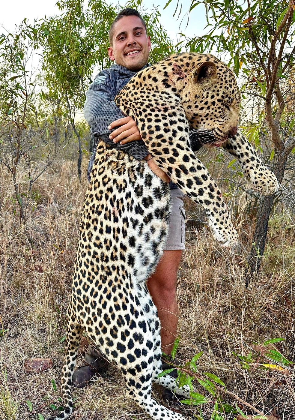 Leopard