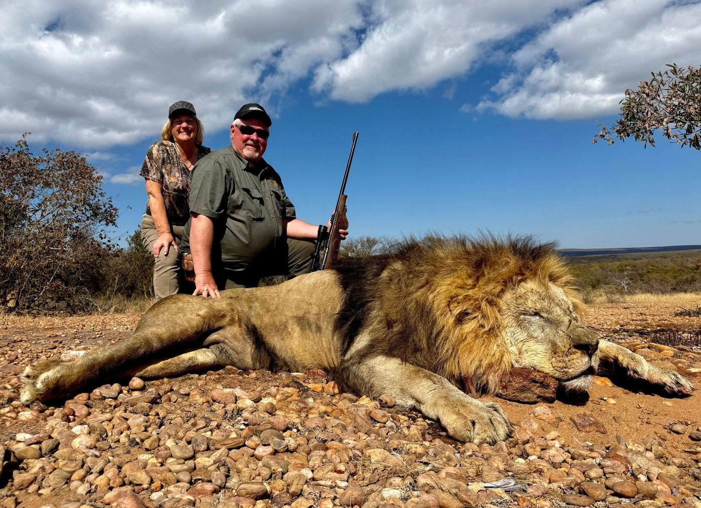 Lion