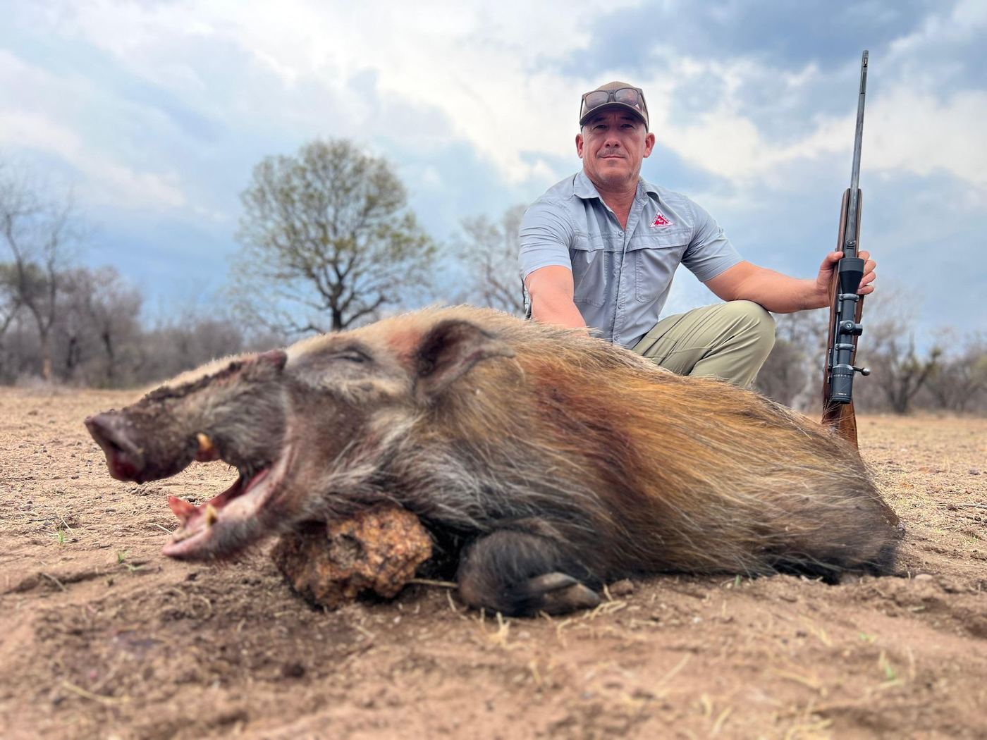 Bushpig