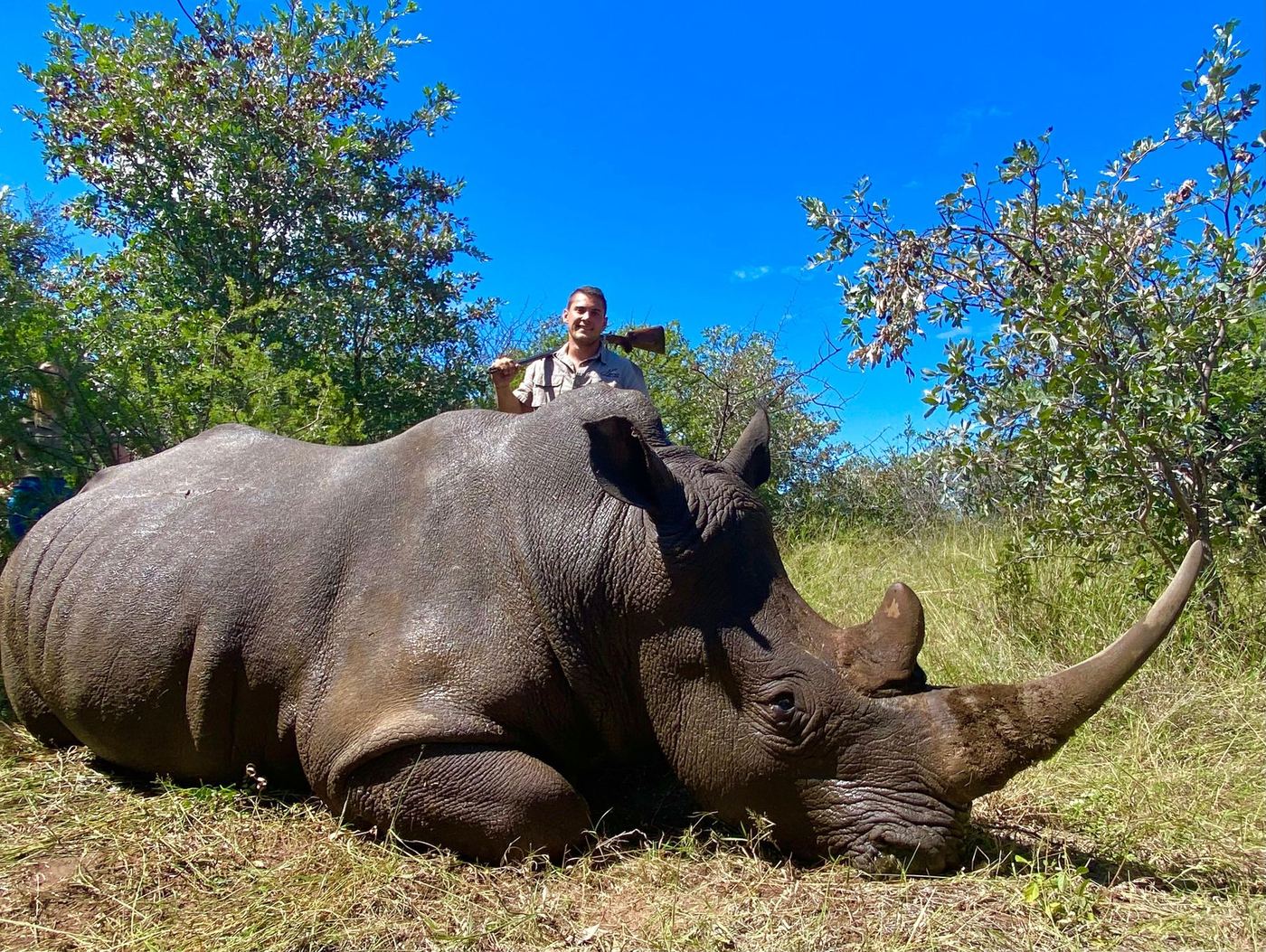 Rhino