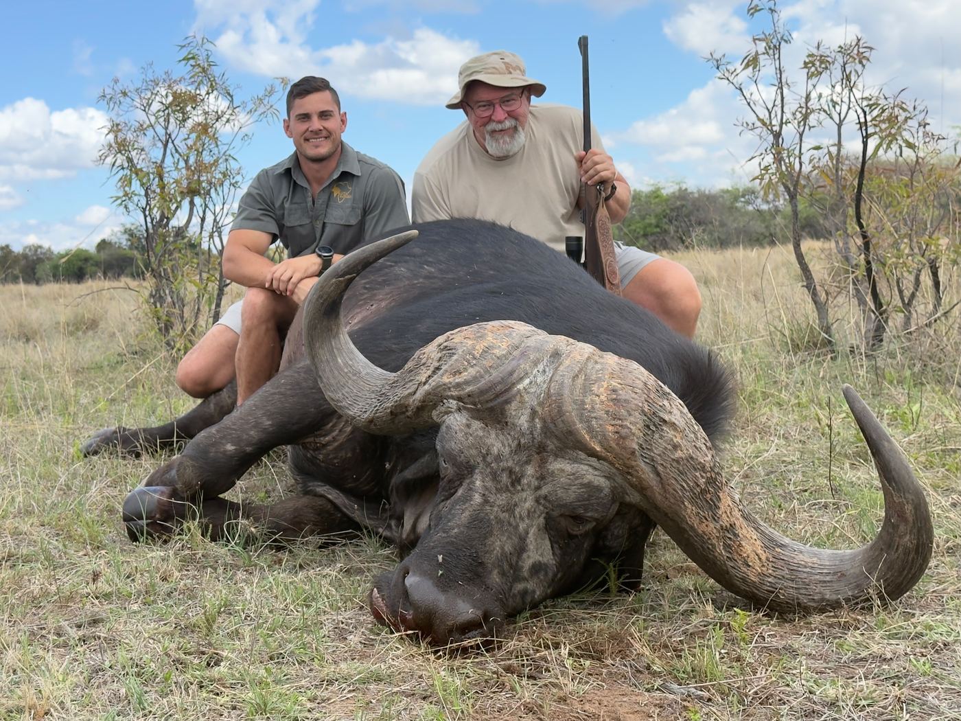 Cape buffalo
