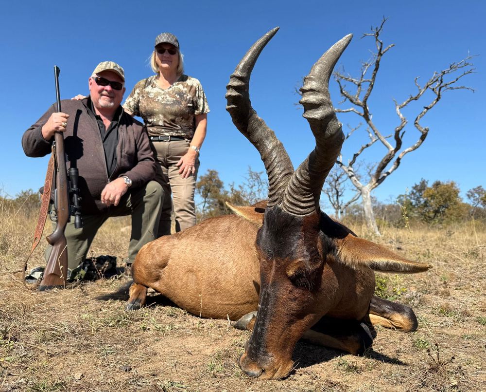 Red hartebeest trophy