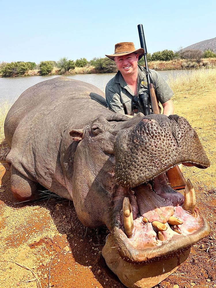 Hippo trophy