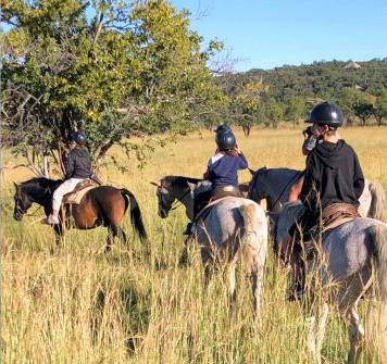 Horseback safari through tall grass