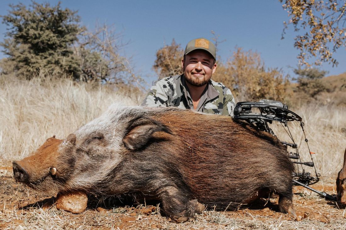 Jandre Louw with a bushpig taken by bow