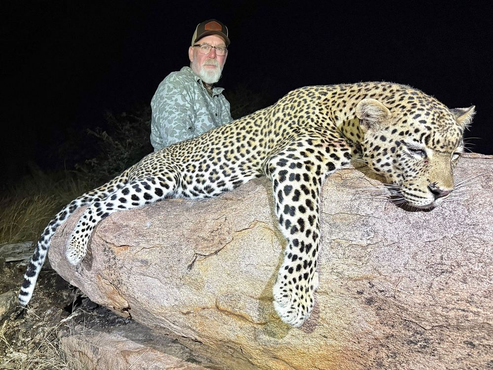 Leopard trophy