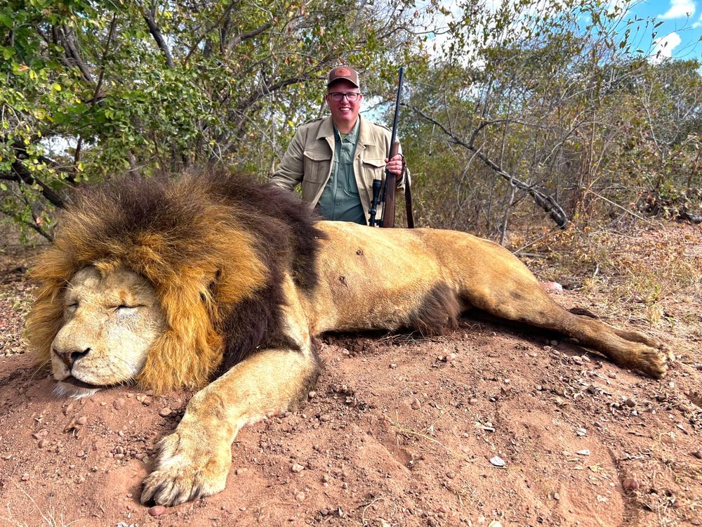 Lion trophy