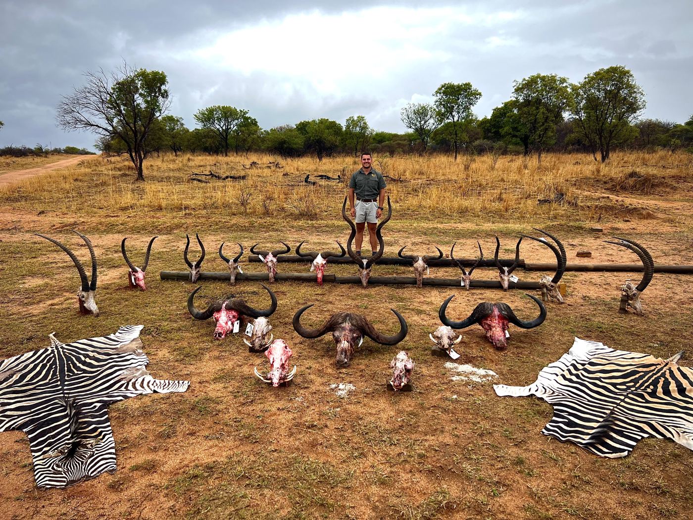 A season's trophies laid out on the grass