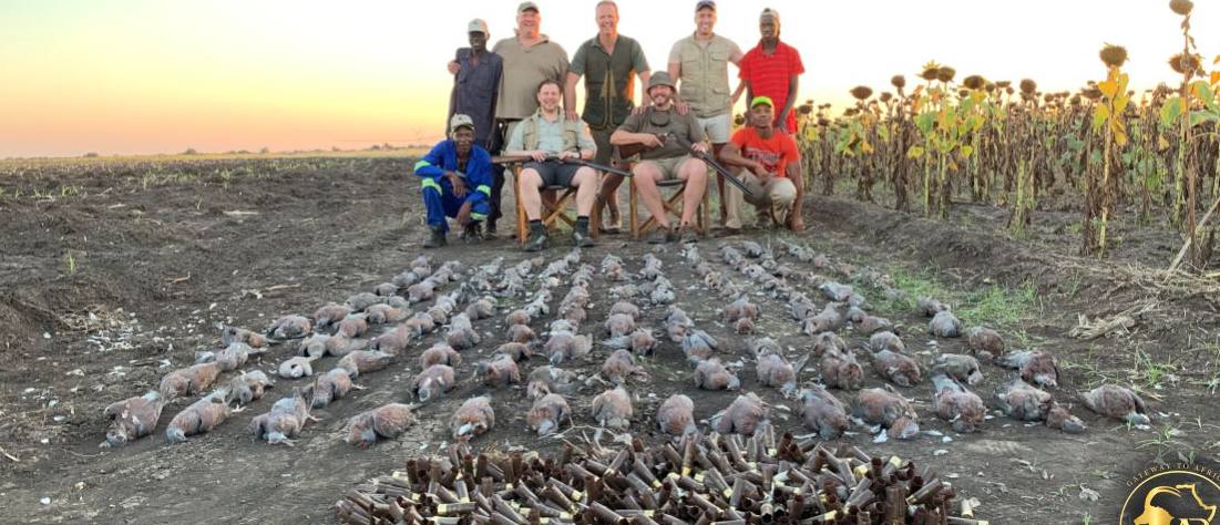 Wing shooting group with the day's birds